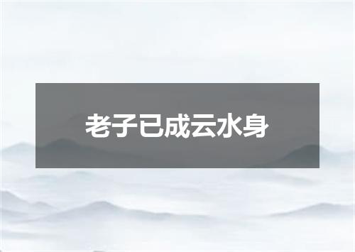 老子已成云水身