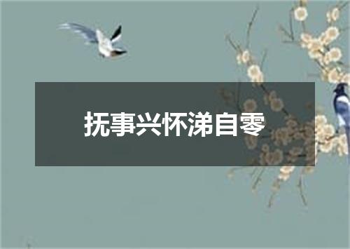 抚事兴怀涕自零