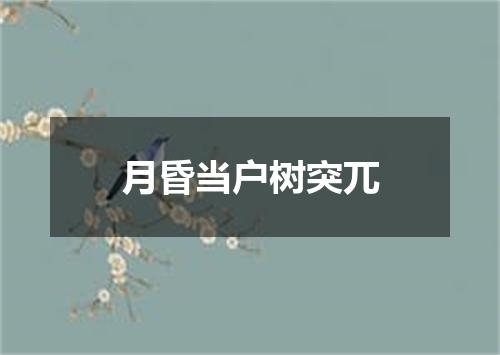 月昏当户树突兀
