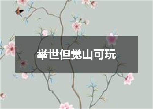 举世但觉山可玩