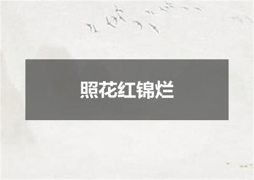 照花红锦烂