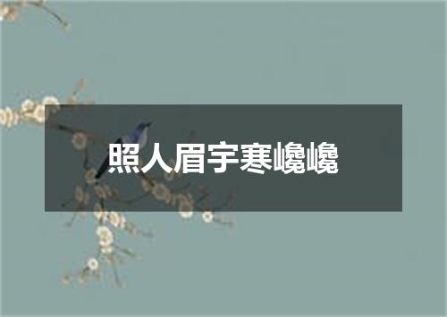 照人眉宇寒巉巉