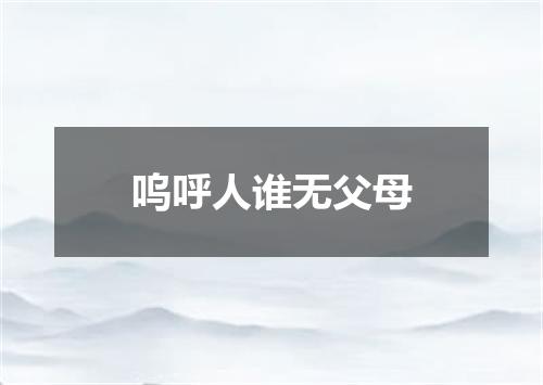 呜呼人谁无父母