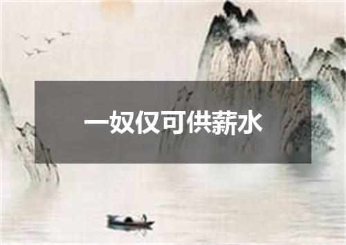 一奴仅可供薪水