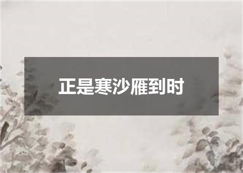 正是寒沙雁到时