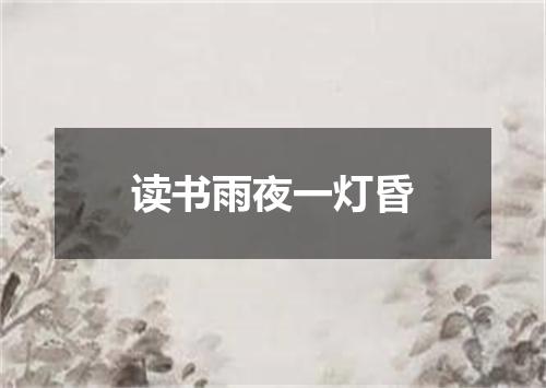 读书雨夜一灯昏