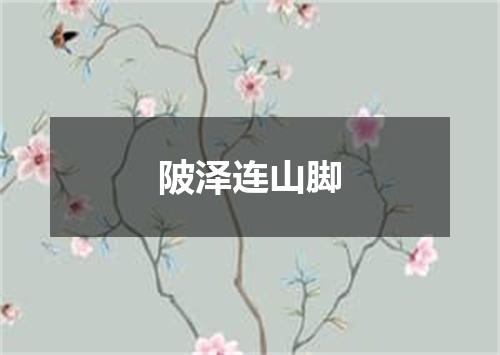 陂泽连山脚