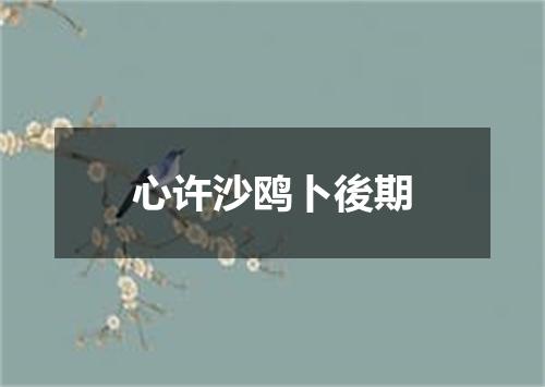 心许沙鸥卜後期