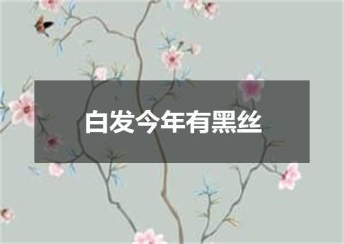 白发今年有黑丝