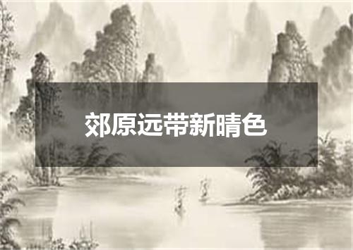 郊原远带新晴色