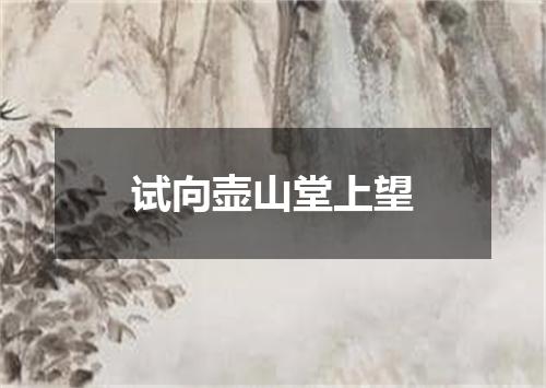 试向壶山堂上望