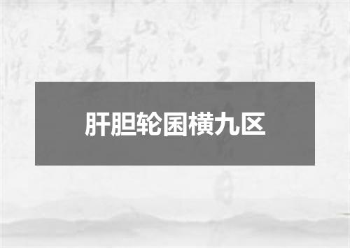 肝胆轮囷横九区
