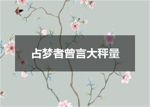 占梦者曾言大秤量