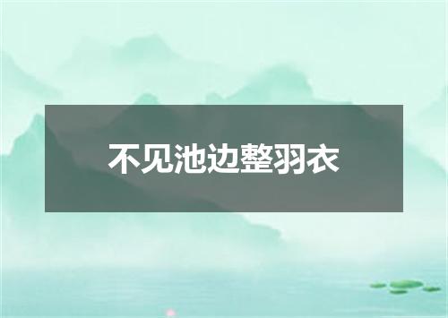 不见池边整羽衣