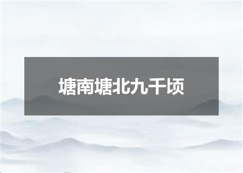 塘南塘北九千顷