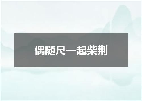 偶随尺一起柴荆
