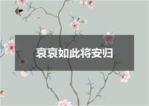 哀哀如此将安归