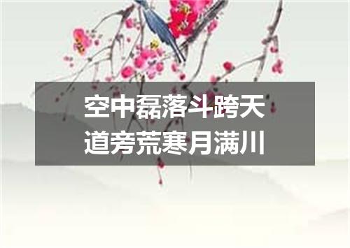 空中磊落斗跨天道旁荒寒月满川