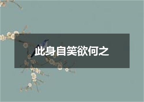 此身自笑欲何之