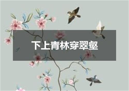 下上青林穿翠壑