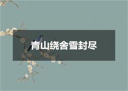 青山绕舍雪封尽