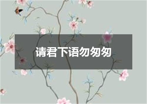 请君下语勿匆匆