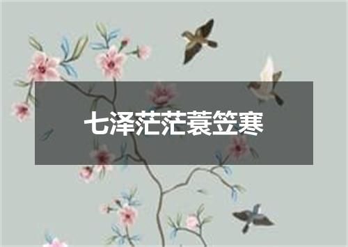 七泽茫茫蓑笠寒