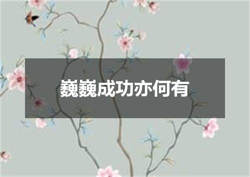巍巍成功亦何有