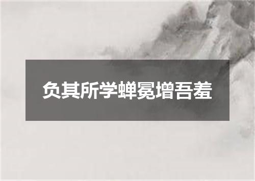 负其所学蝉冕增吾羞