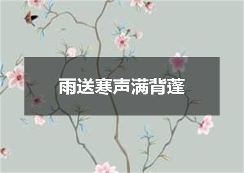 雨送寒声满背蓬