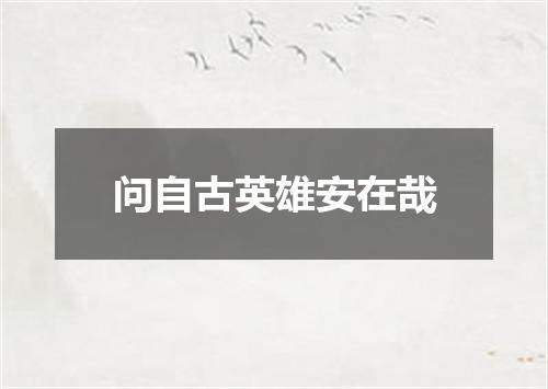 问自古英雄安在哉