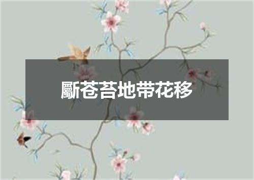 斸苍苔地带花移