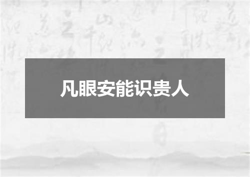 凡眼安能识贵人