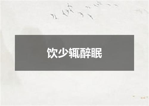 饮少辄醉眠