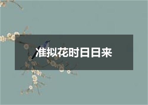 准拟花时日日来