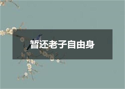 暂还老子自由身