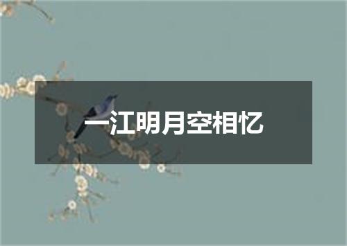 一江明月空相忆