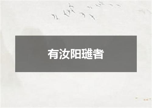 有汝阳璡者