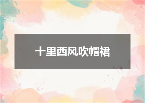 十里西风吹帽裙