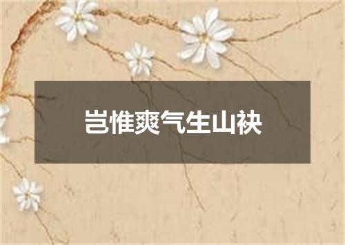 岂惟爽气生山袂