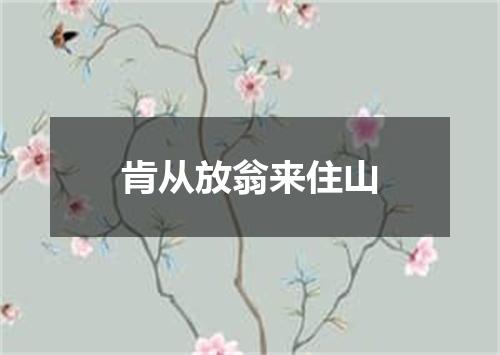 肯从放翁来住山