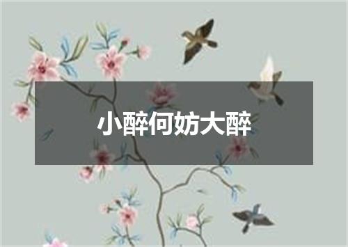 小醉何妨大醉