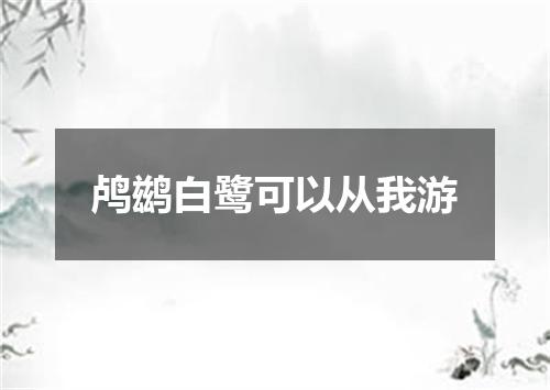 鸬鹚白鹭可以从我游