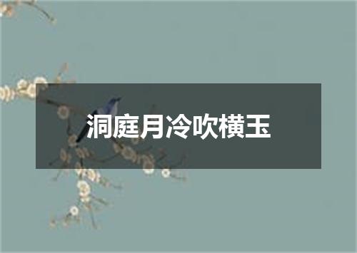 洞庭月冷吹横玉