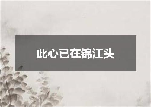 此心已在锦江头
