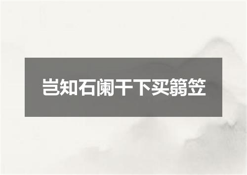 岂知石阑干下买篛笠