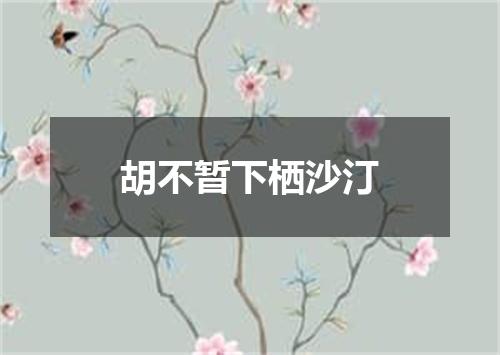 胡不暂下栖沙汀