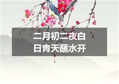 二月初二夜白日青天蘸水开