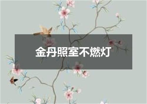金丹照室不燃灯