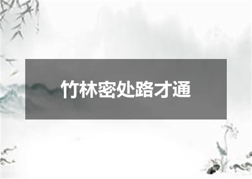 竹林密处路才通